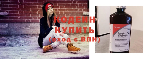 эйфоретик Каменка