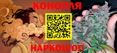 spice Кингисепп