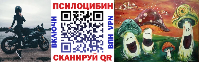 купить наркотики сайты  Мирный  Галлюциногенные грибы Psilocybe 