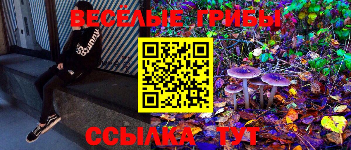Псилоцибиновые грибы мицелий  Вход с VPN  Мирный 