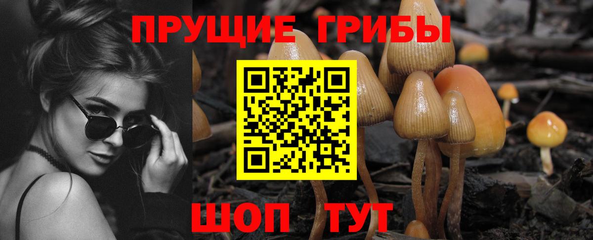 Псилоцибиновые грибы Psilocybine cubensis Мирный