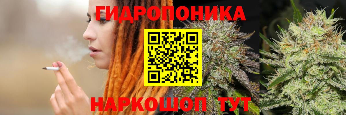 Бошки марихуана конопля Мирный